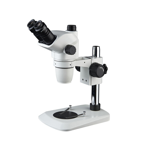 Microscope 5 Microscope 5